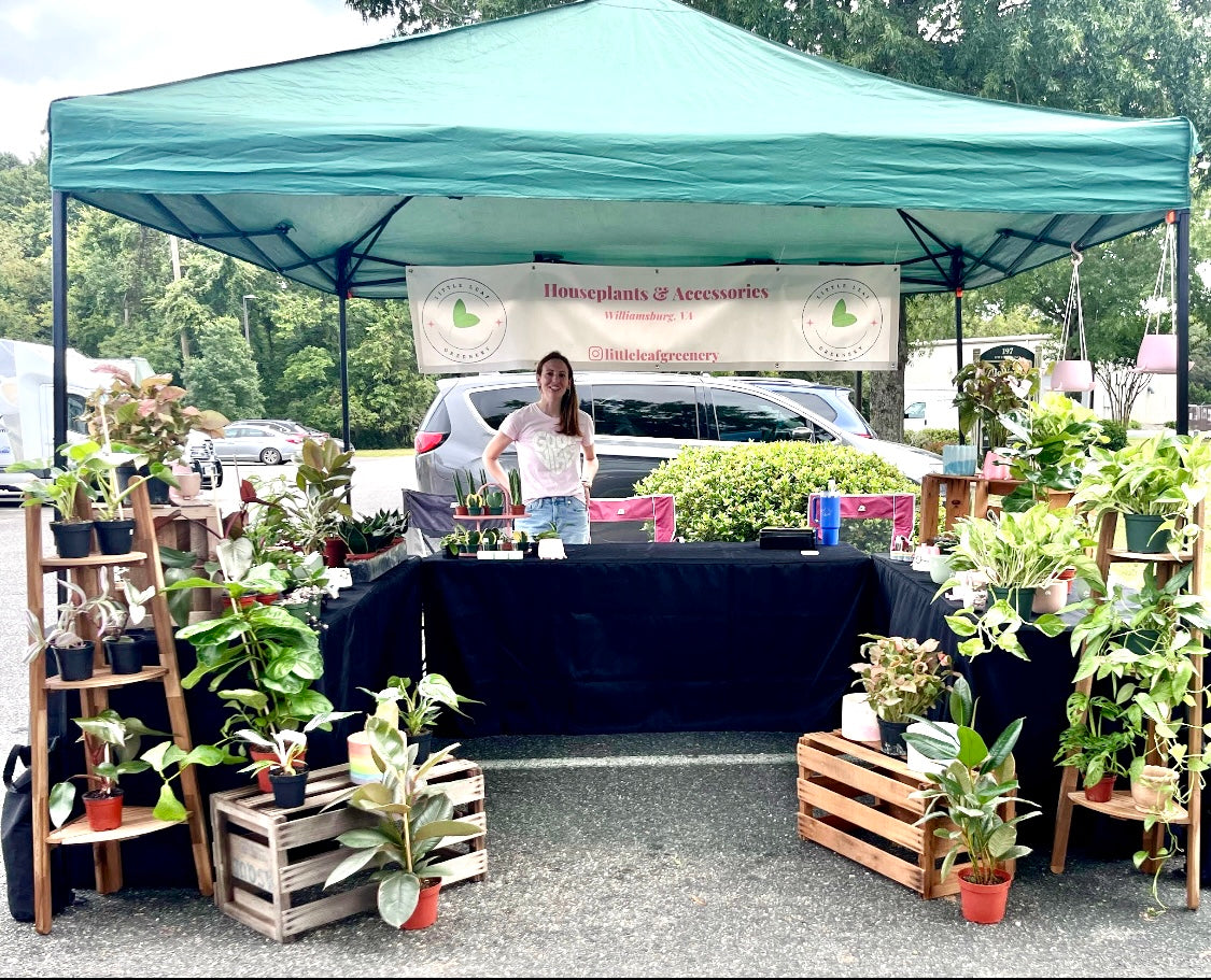 Shop All Plants