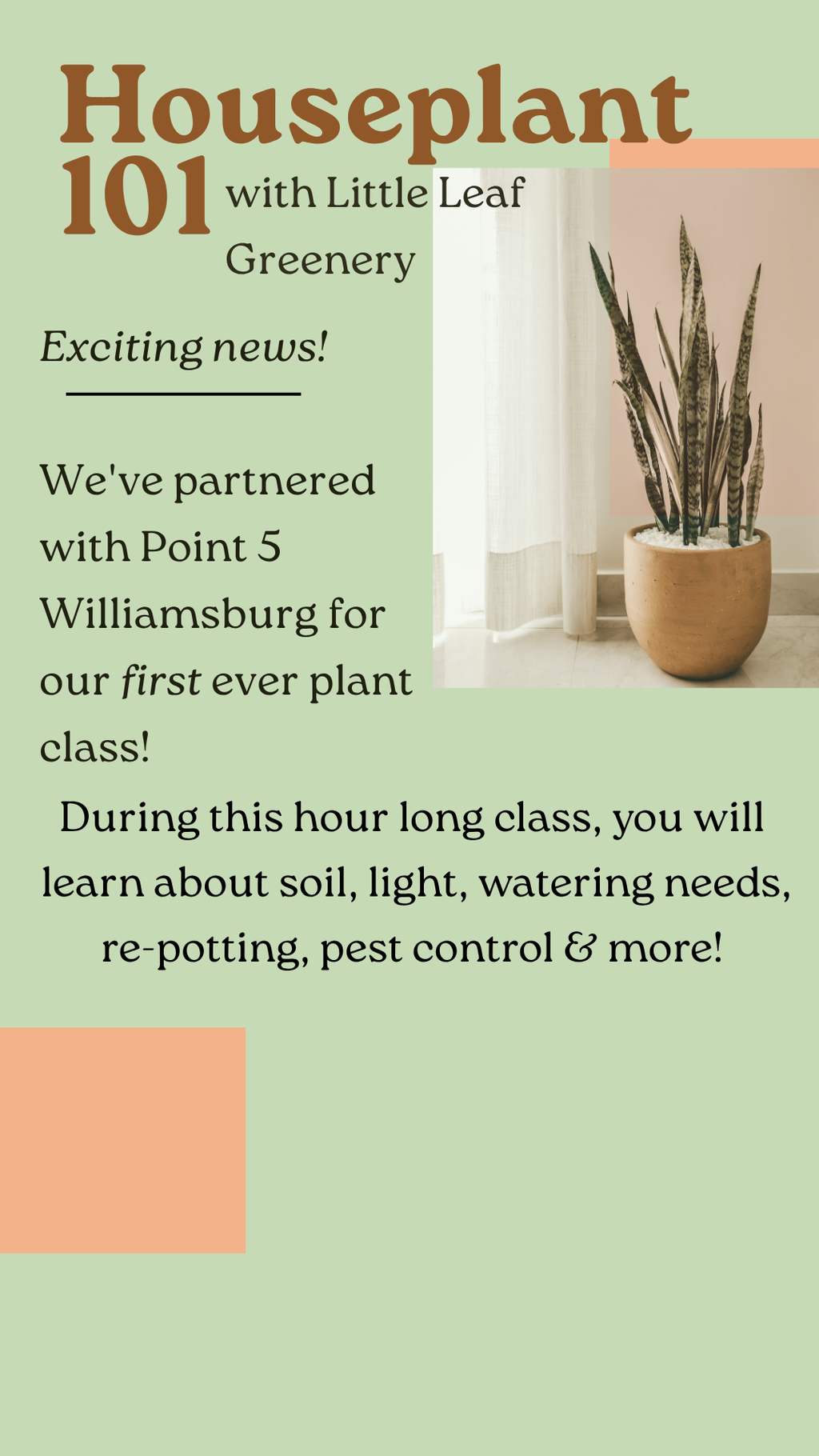 Houseplants 101