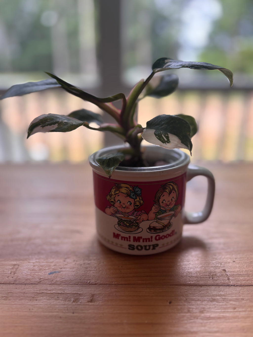 White Princess + Vintage Campbells Soup Mug
