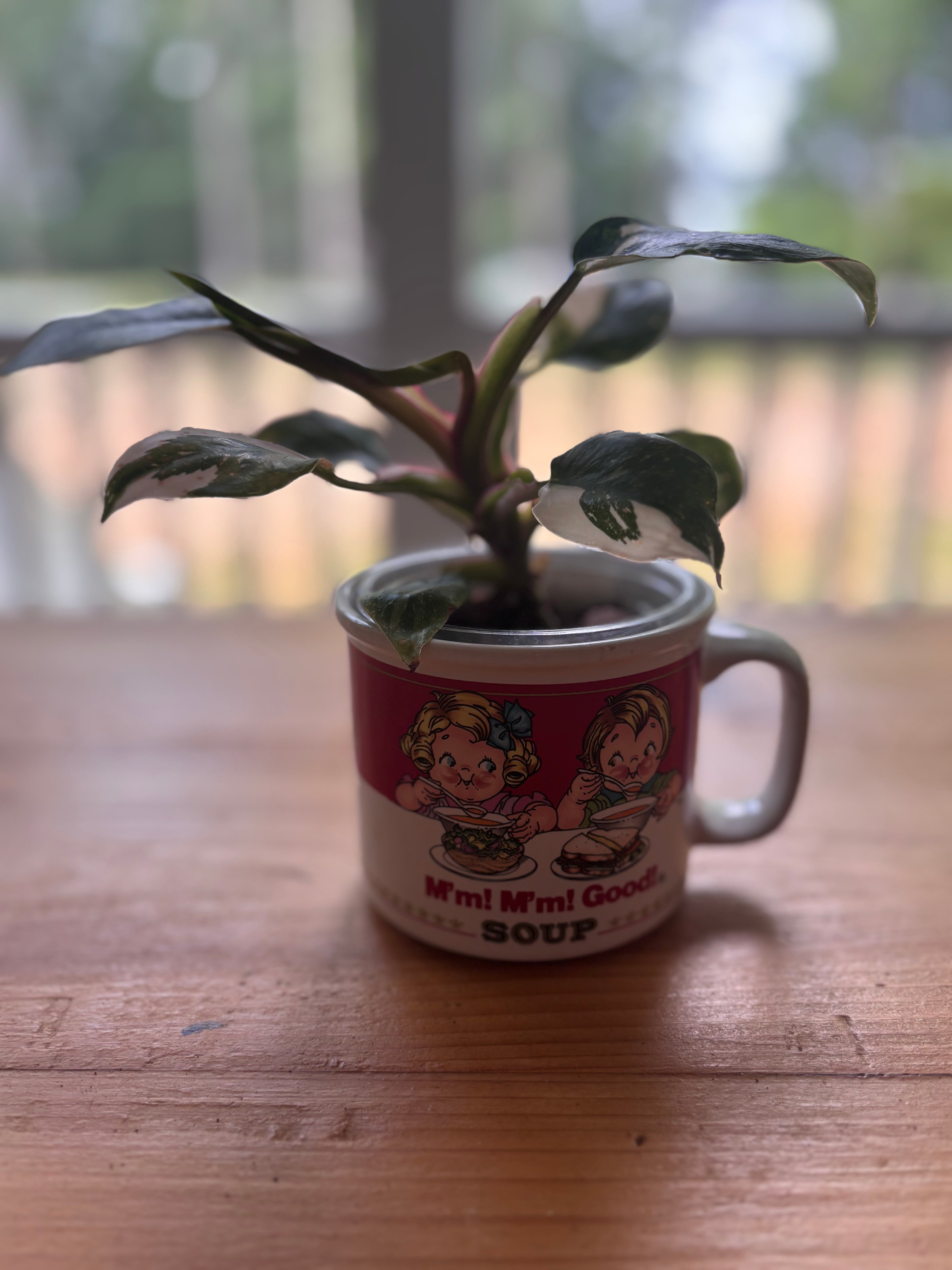 White Princess + Vintage Campbells Soup Mug