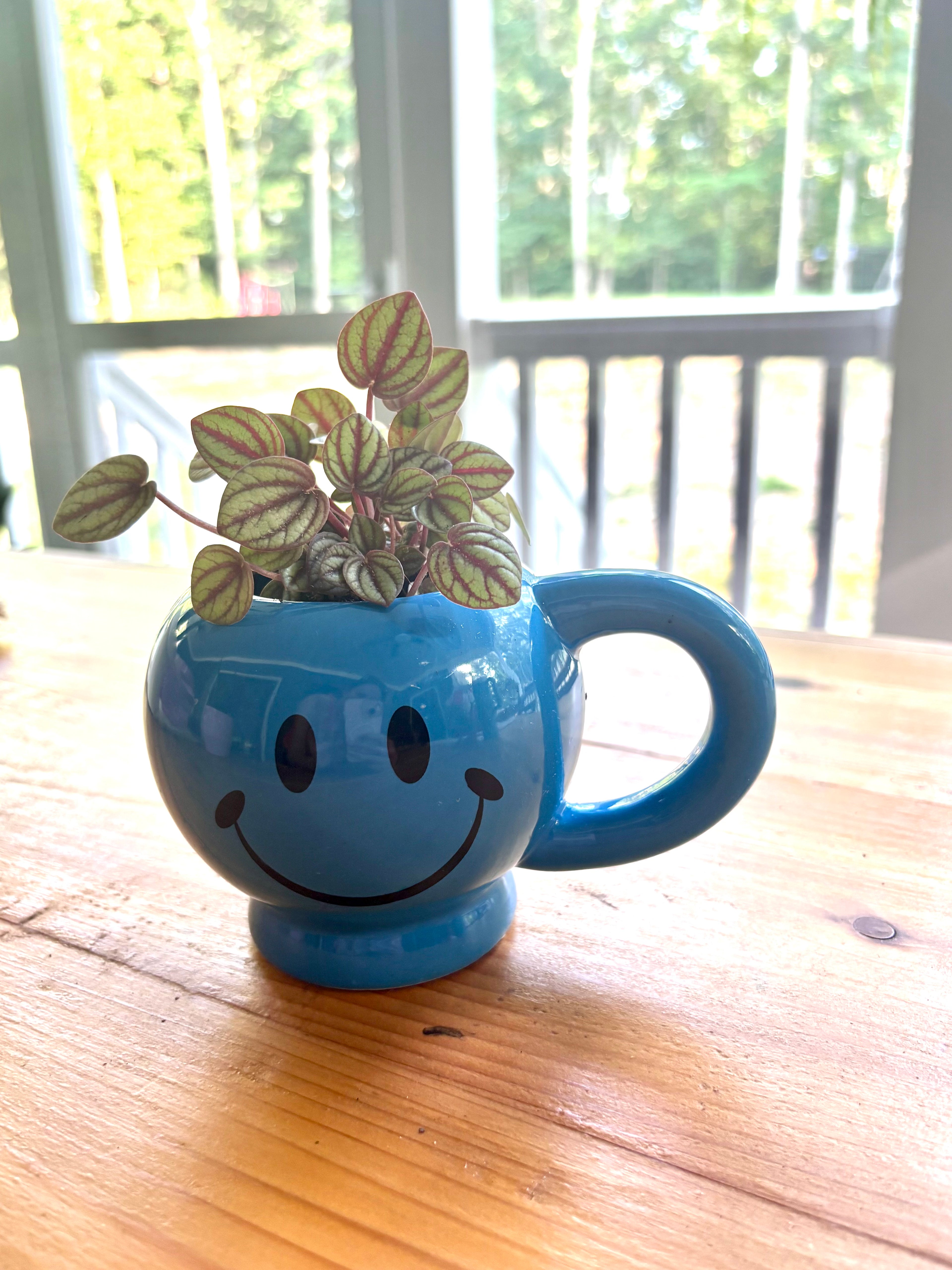 Piccolo Banda + Smiley Mug