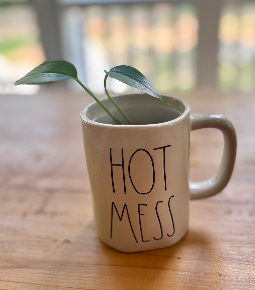 Baby Pothos + Hot Mess Mug