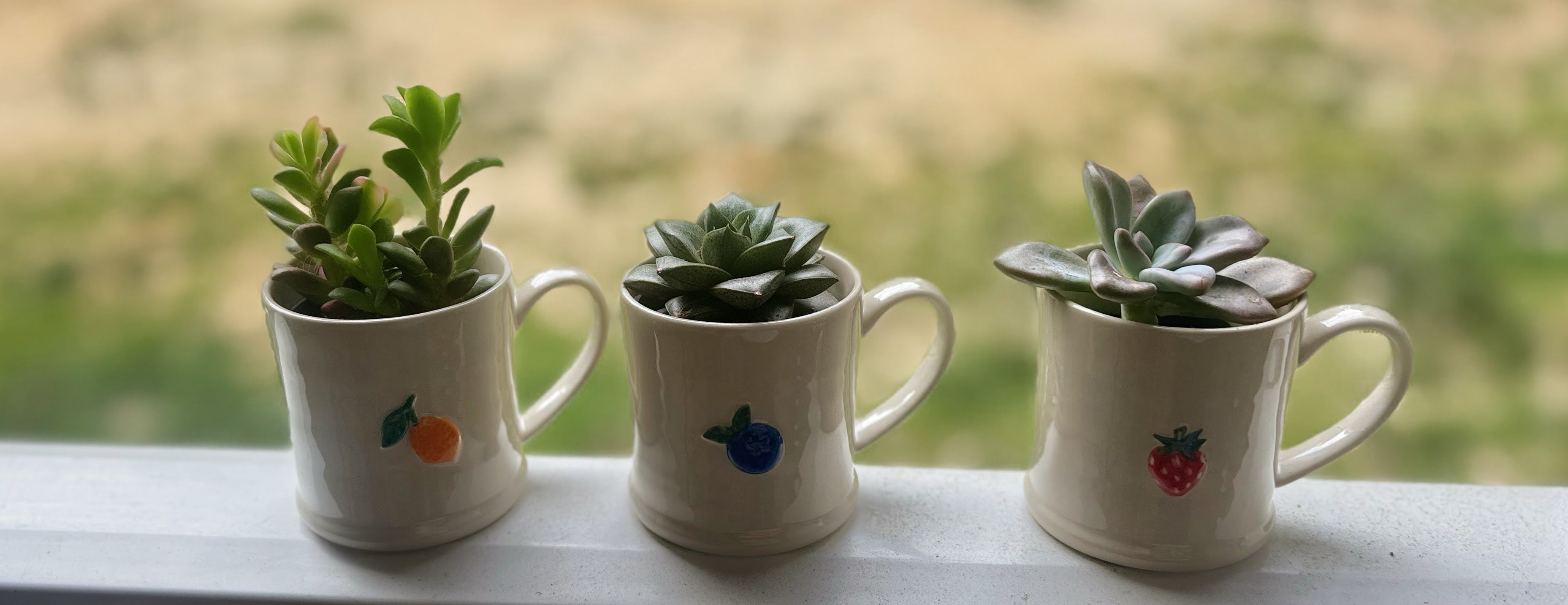 Succulent + Mug
