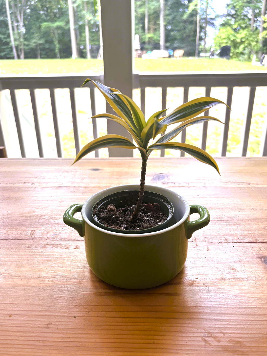 Song of India + Green Crockpot